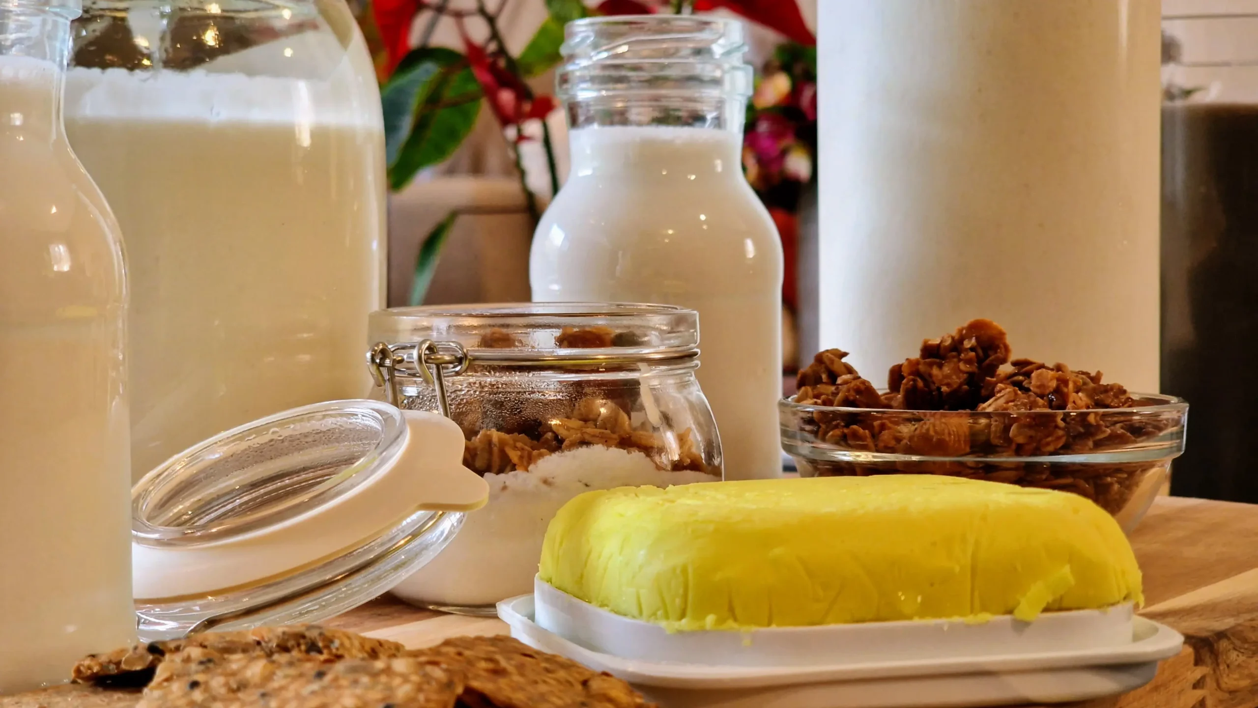 Workshop Leites, Manteigas e Iogurtes