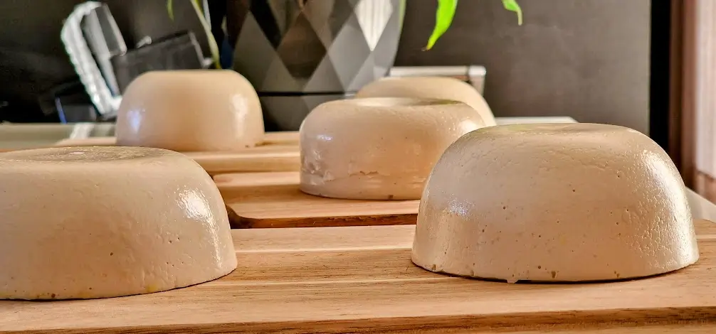 Workshop de Queijos Vegetais