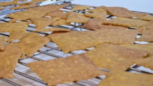 Receita de Crackers Nachos de Milho