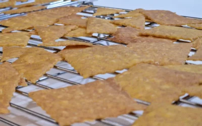 Crackers de Milho Saudaveis | Receita